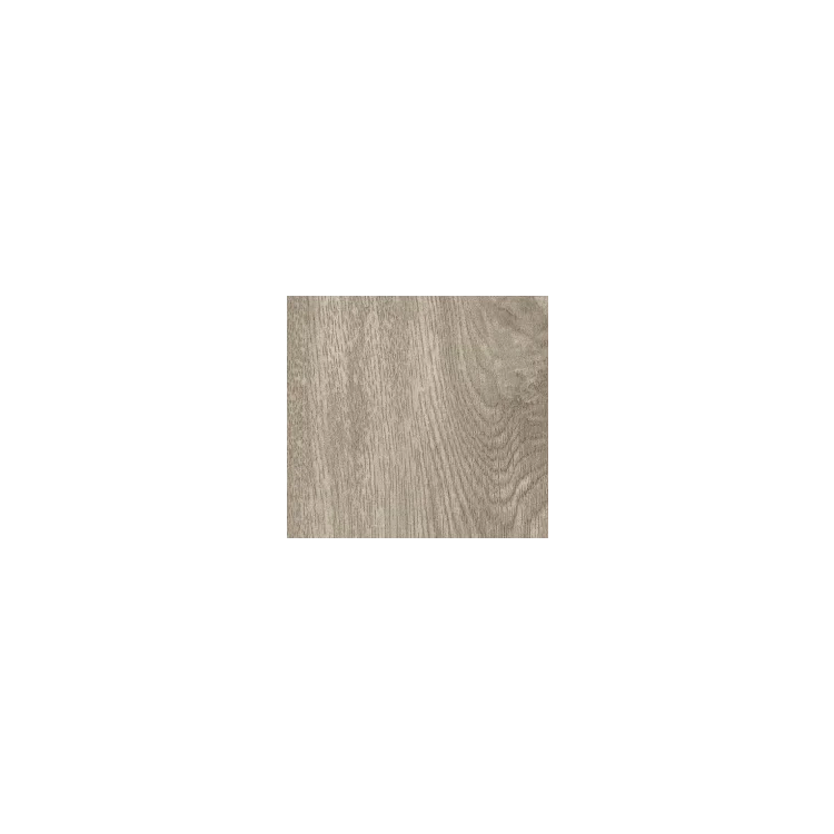 Calibri F