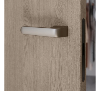 Приховані двері SecretDoors 40 Тонований шпон